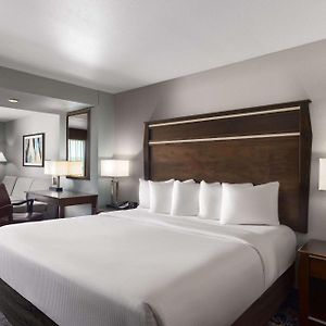 Deluxe King Suite